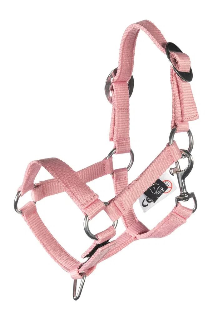 HKM Hobby Horsing Basic Cavezza E Corda Rosa One Size