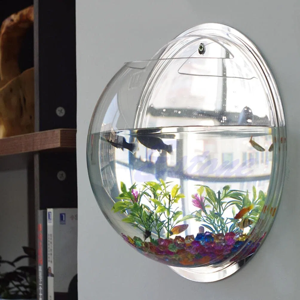 Ciotola per pesci da appendere a parete, per acquario, decorazione da parete per pesci vegetali, in acrilico trasparente 5 9 7 7 10 2 Acquario con combinazione di supporto