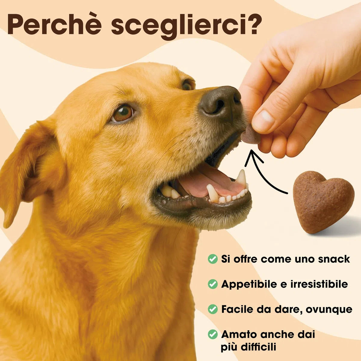 PROBIOTICI PER CANI (60 Snack Naturali) - PROBIOTICO PER CANI | Bacillus velezensis e Inulina di Cicoria | Integratore per Intestino e Difese - Bocconcini a Forma di Cuore Gustosi (2)