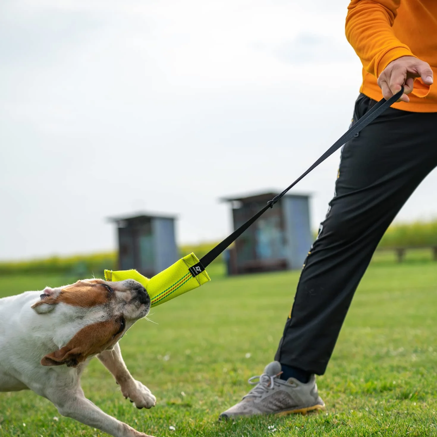Bull Fit Bungee Manicotto per Cani, con Cuciture Esterne, con un Fiocco - Duraturo, fatta a mano in manichetta antincendio - per l'addestramento o per il gioco