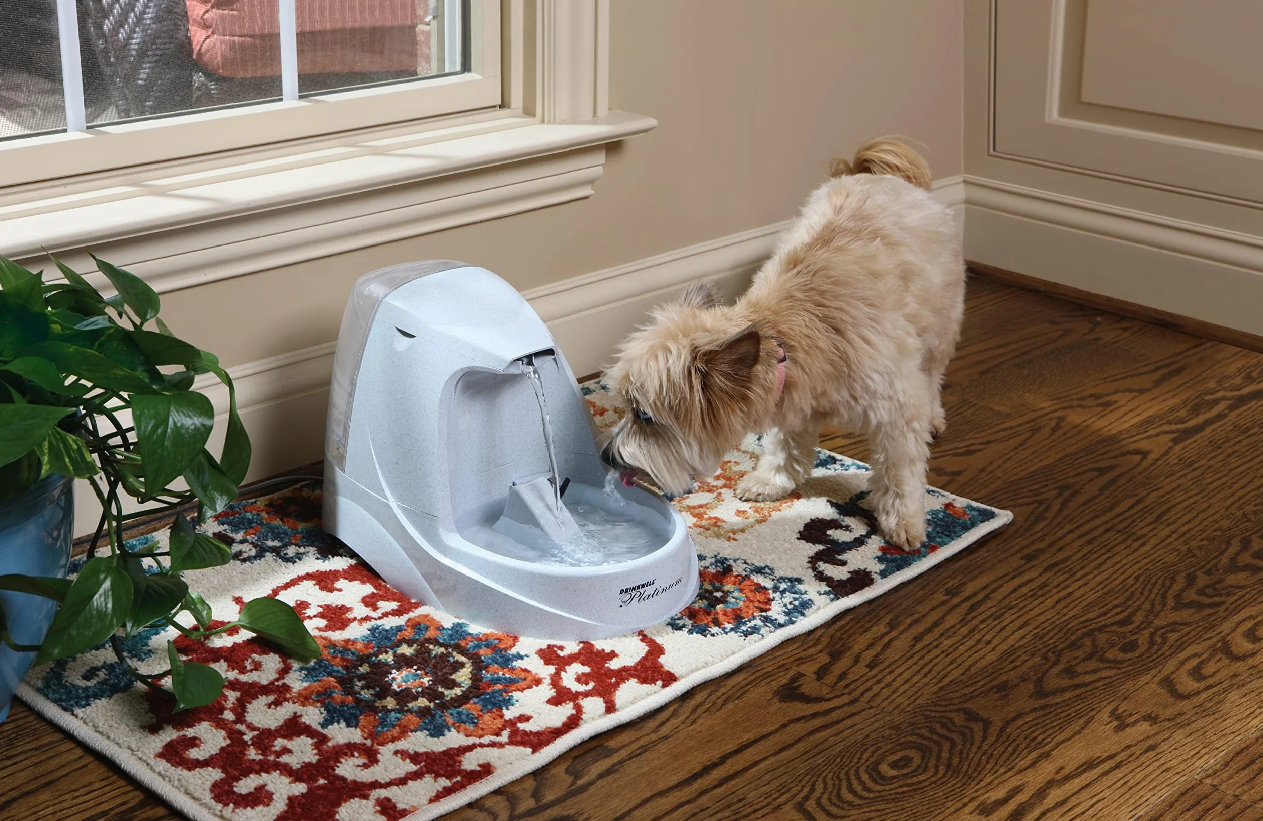 PetSafe Drinkwell - Pompa di ricambio per fontane Platinum e Original Pet
