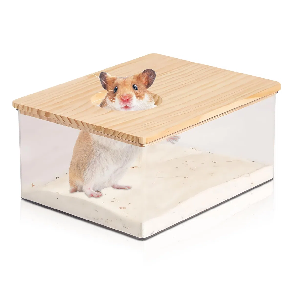 Bagno di Sabbia per Criceti con Copertura in Legno Massiccio, Doccia per Cincillà, Orsi Dorati, Gerbil (21 x 15,5 x 10 cm)