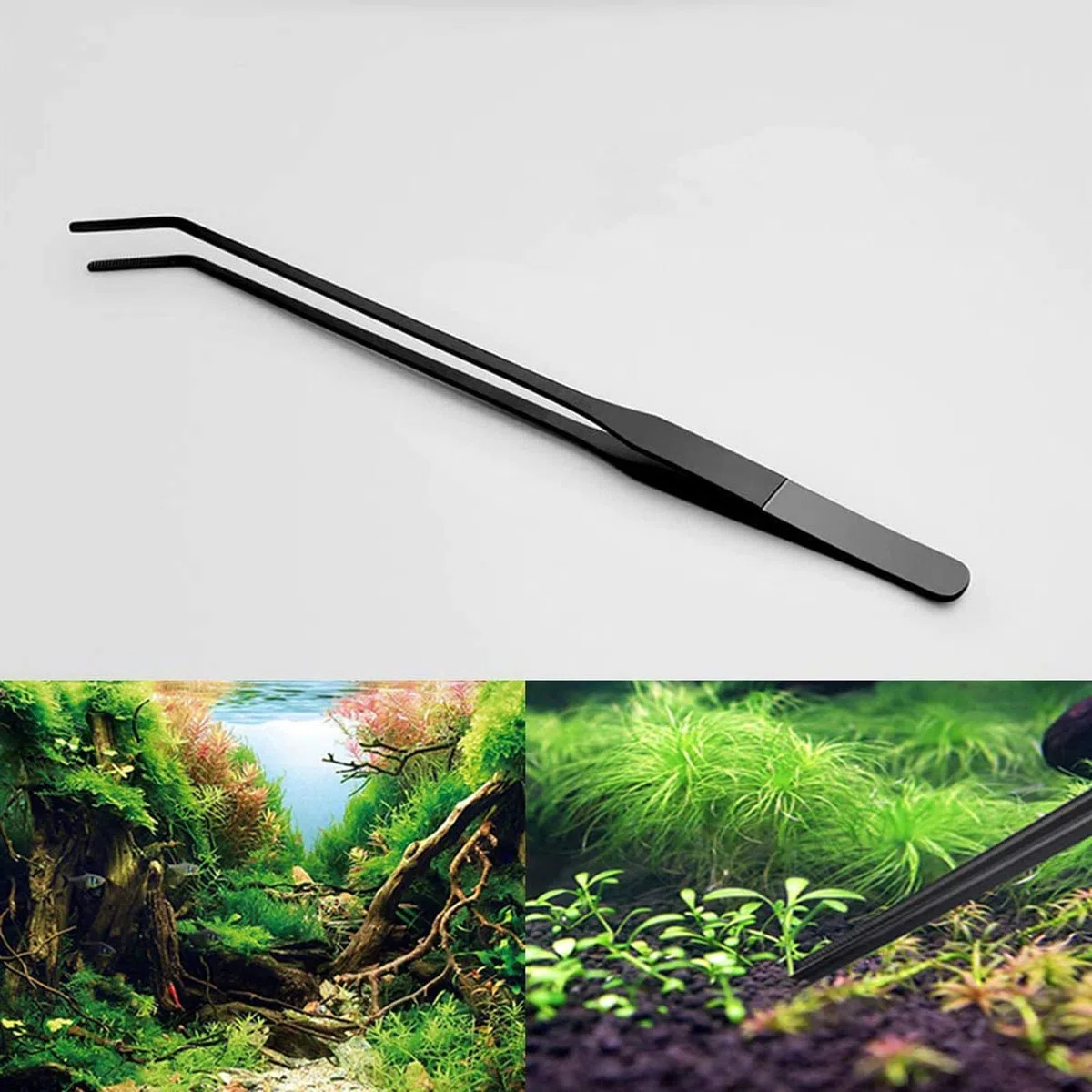 Pinzetta per mangime per acquario, 38 cm, curva, in acciaio inox, con rivestimento anti-carbonio, anti-ruggine, lunga pinzetta per mangime per piante, lucertole, ragni di serpente (BC)