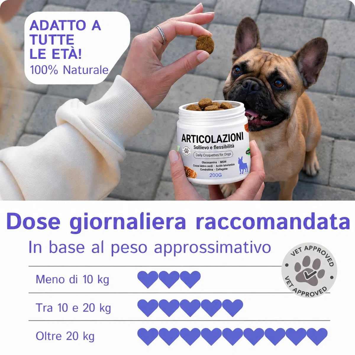 Condroprotettore Per Cani Prodotto In Europa 200 Soft Chews Integratore 100% Naturale Curcuma Acido Ialuronico Cozza Verde MSM Glucosamina Condroitina Salmone Collagene | Supporto Articolazioni Cane