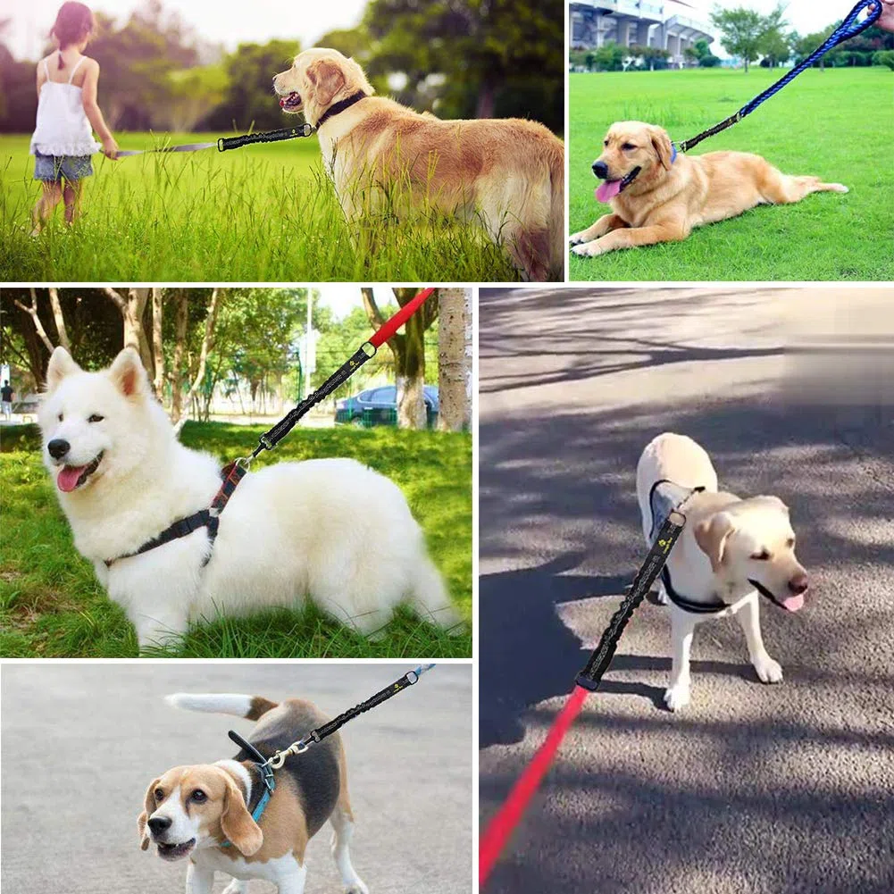 Estensione per guinzaglio per cani, 45,7 cm, ammortizzatore per l'assorbimento degli urti, previene lesioni su braccia e spalle e salva i cani da farsi male, ideale per bicicletta, corsa, camminata