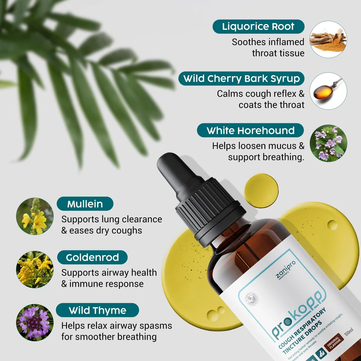 Medicinale per la Tosse dei Canili per Cani e Gatti, Trattamento per Infezioni Respiratorie e Raffreddore, Sollievo da Starnuti, Raffreddore, Tintura di Verbasco 100% Naturale – 50 ml