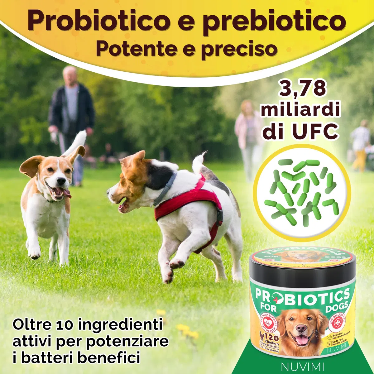 Probiotici per Cani - Compresse probiotiche e prebiotiche per Cani - Integratore per Il Supporto digestivo e la Salute intestinale - 120 Gusti di Pollo