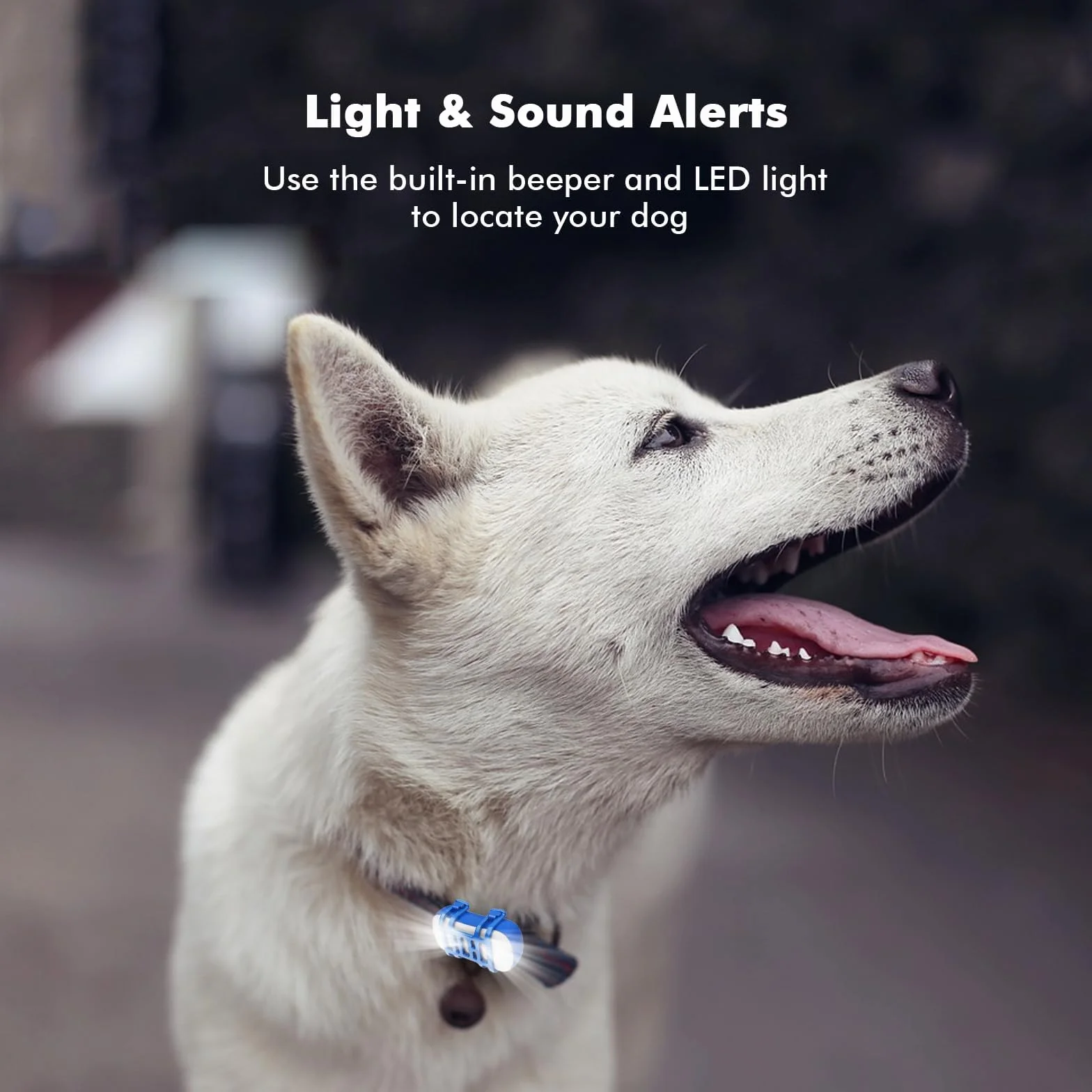 GPS Pet Tracker GPS Dog Tracker 4G Live Satellite Tracking, avvisi intelligenti multipli, monitor di attività completamente impermeabile per cani e gatti, portata illimitata, richiamo vocale remoto