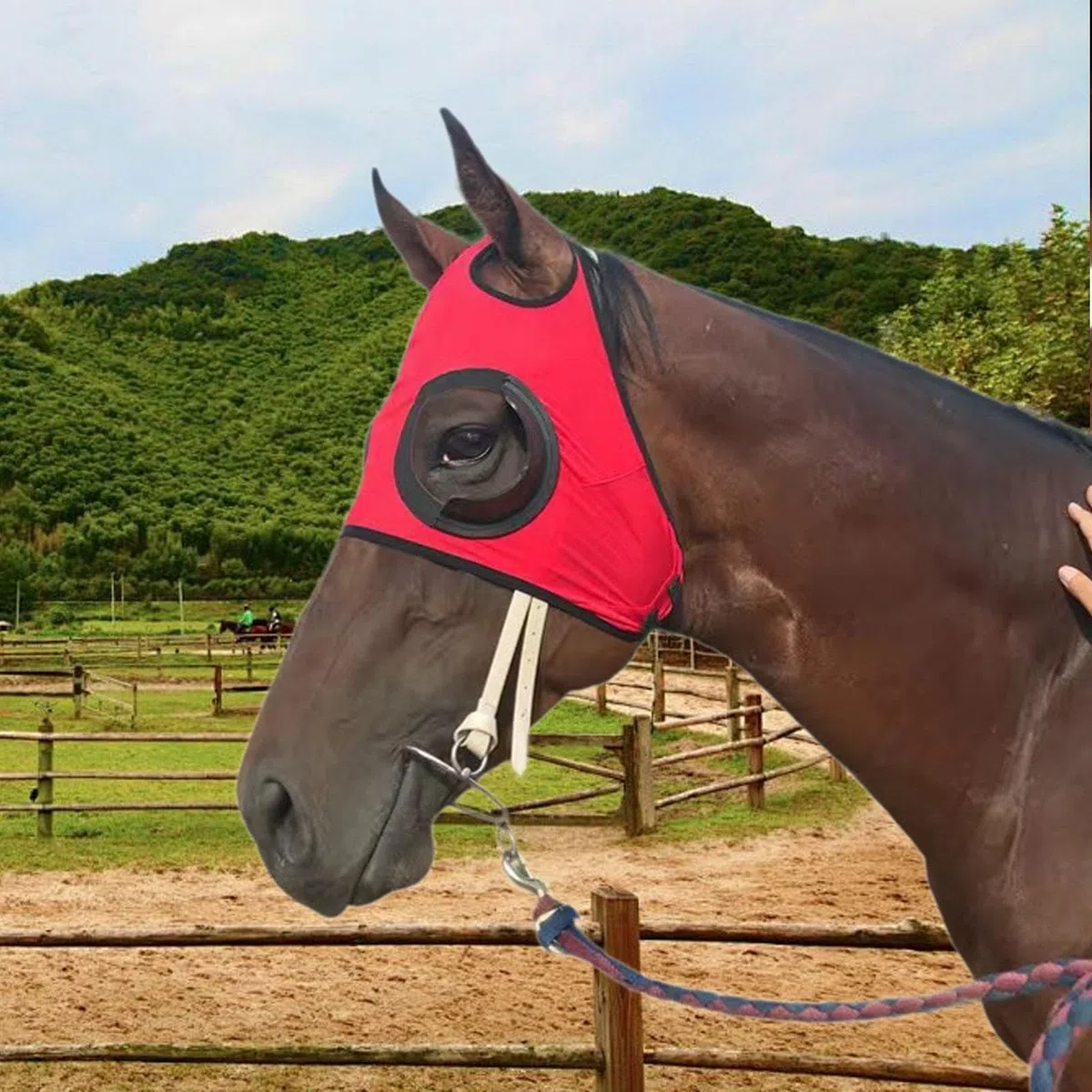 Occhiali da Cavallo, Paraocchi per Cavalli, Sostituiscono Attrezzature Ad Alte Prestazioni, Maschera Anti- Portatile di, Occhiali D, Rosso