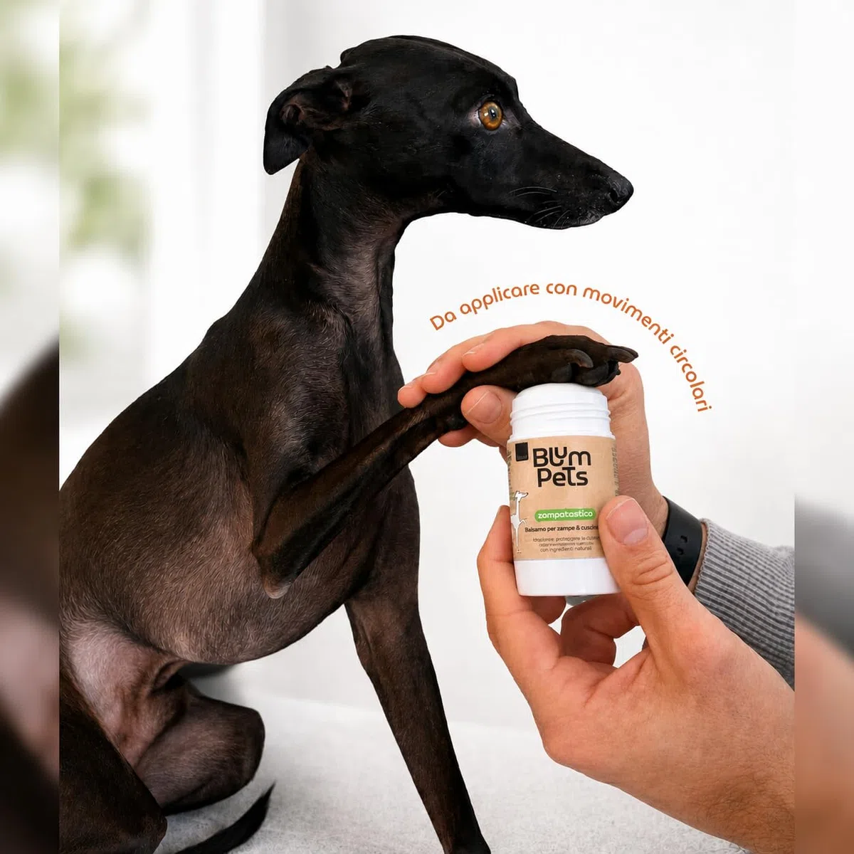 Pawtastick - Balsamo Zampe Cane Vegano in Stick – Protezione Zampe con Calendula, Olio di Cocco e Vitamina E -50ml
