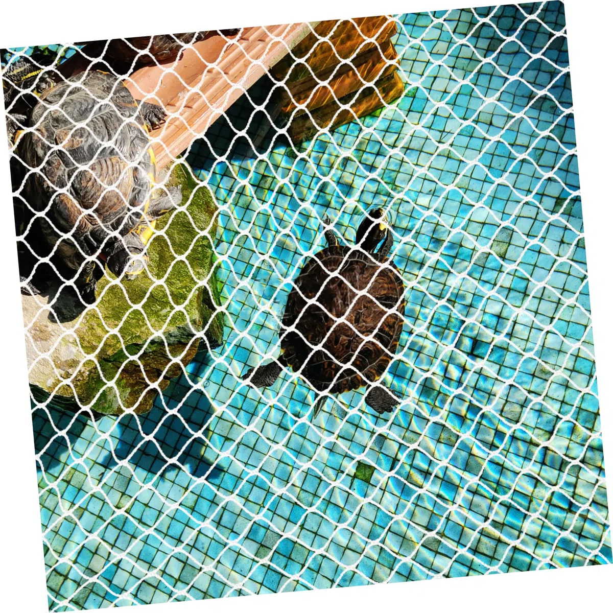 SUPVOX 2 Pz Rete di Fuga per Tartarughe Rete Protettiva per Tartarughe Rete Bianca per acquari reti di Protezione Acquario Fai da Te Vasca per Pesci Animali Rete Protettiva per Acquario