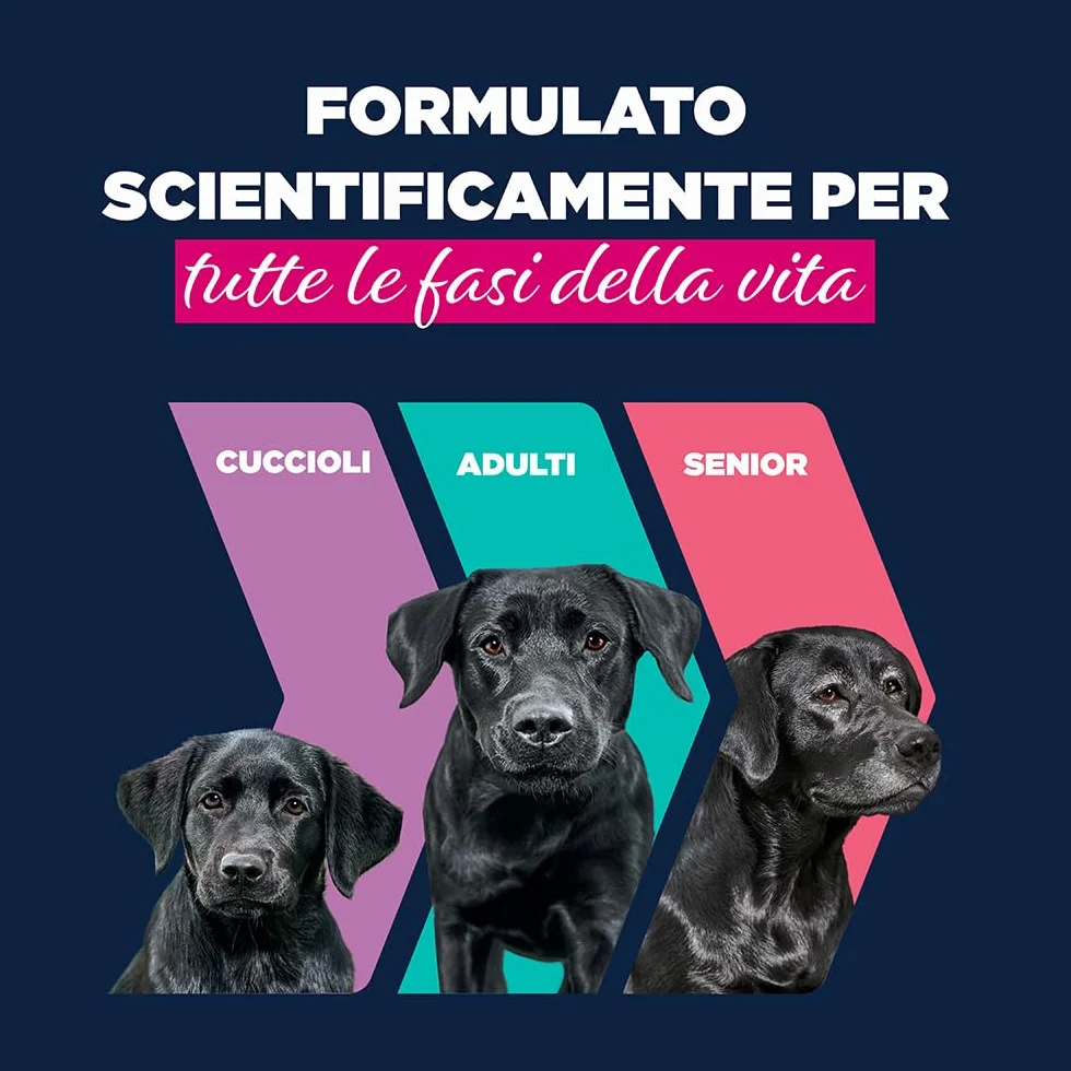 EUKANUBA Cibo umido per cani con agnello e patate, Alimento umido premium senza cereali per cani adulti, 6 barattoli da 400 g