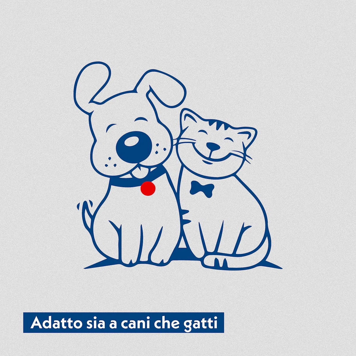 Amore Mio | 200 Salviette Acqua Extra Large per Il Manto di Cani, Gatti e Animali Domestici, Disinfettanti e Igienizzanti, 30x20 cm - 5 Confezioni da 40 Salviettine