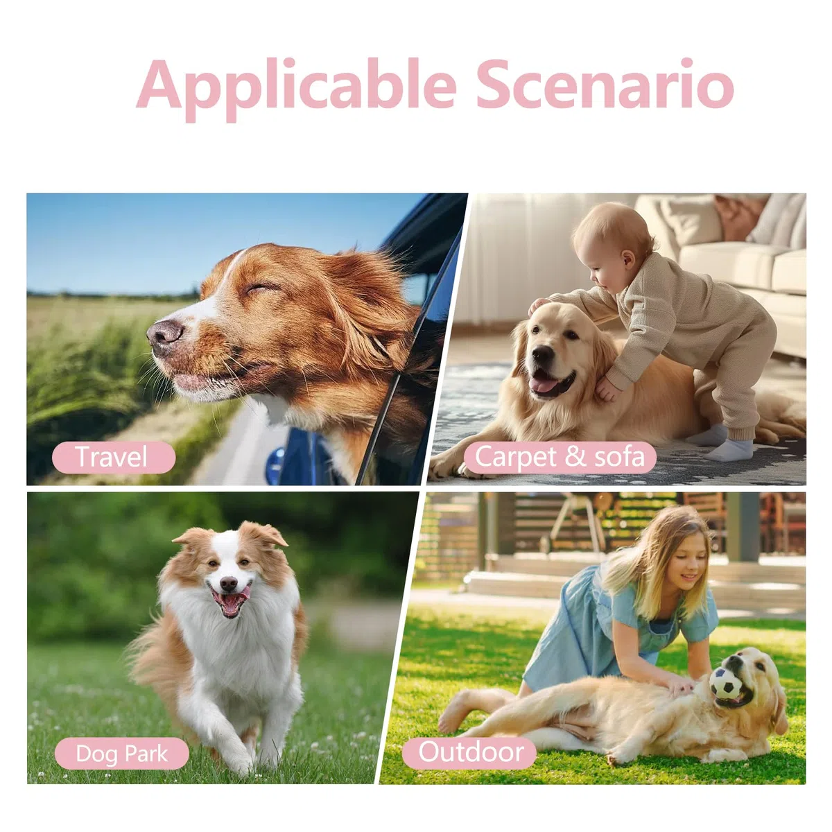 Janety 3 Pezzi Pannolini per cani femminili lavabili, altamente assorbenti per cani, riutilizzabili, incontinenza, mutandine igieniche, femmine cane mestruale panties, nero rosa purple(M)