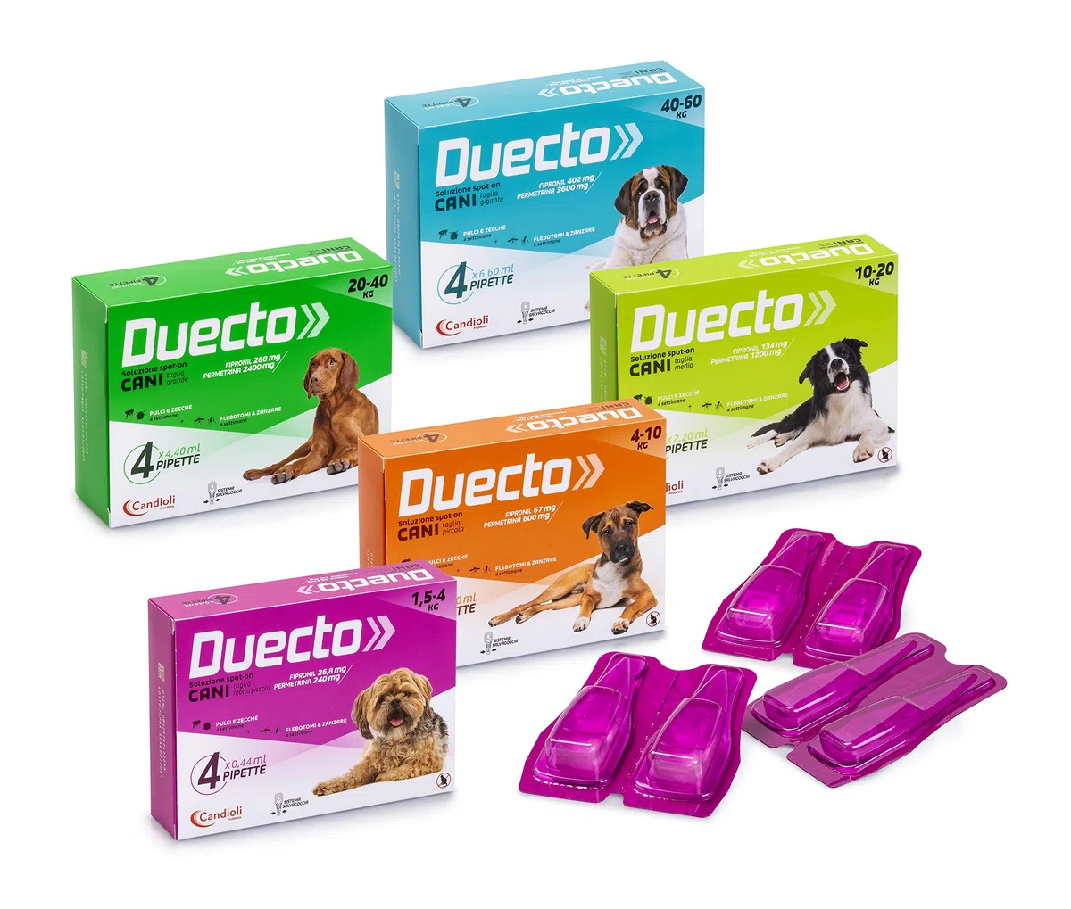 Duecto Spot on 4 kg - 10 kg