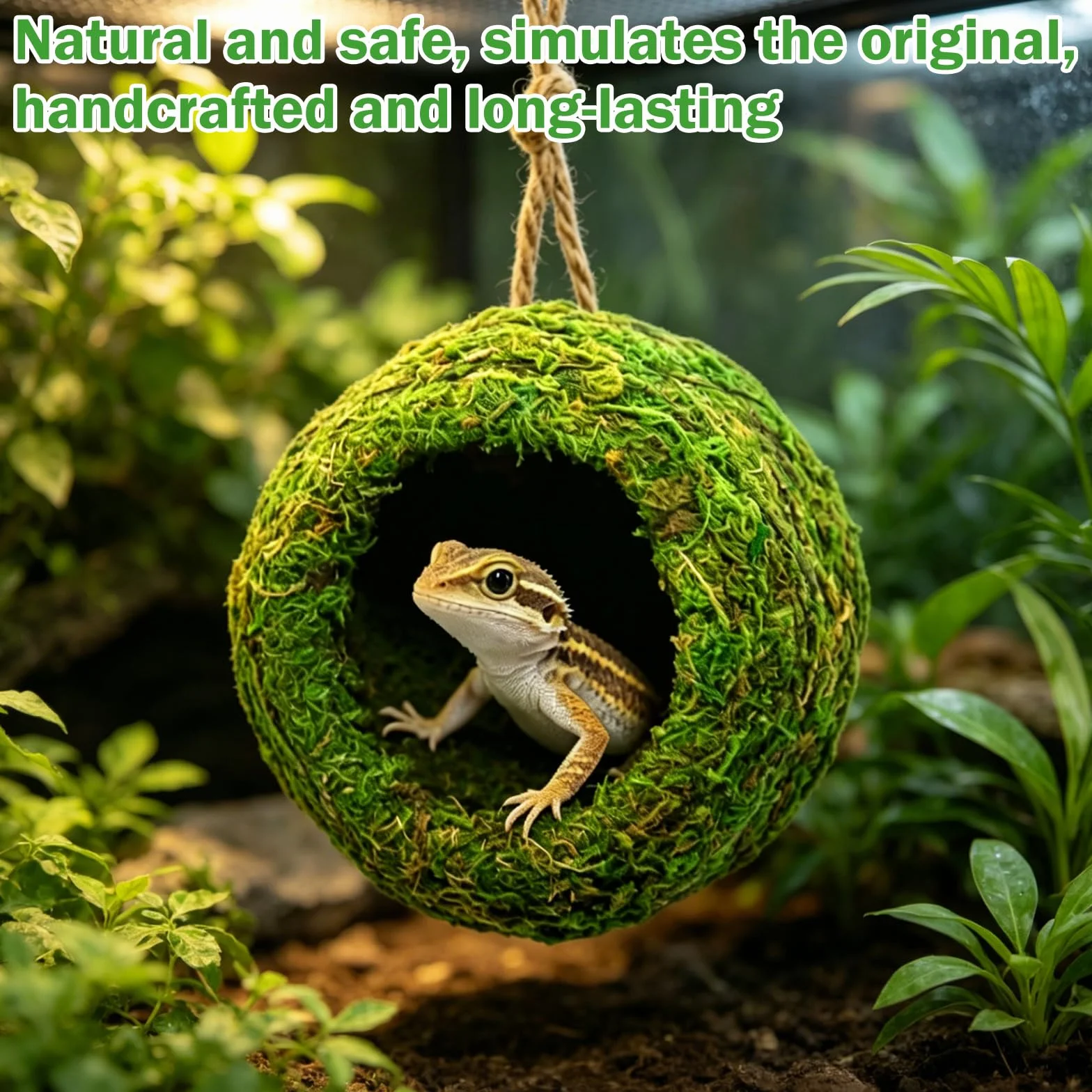 1 pezzo Accessorio per terrario per geco crestato fatto a mano, nascondiglio per rettili, amaca naturale sospesa, per accessori per terrario per geco crestato, drago barbuto grotto