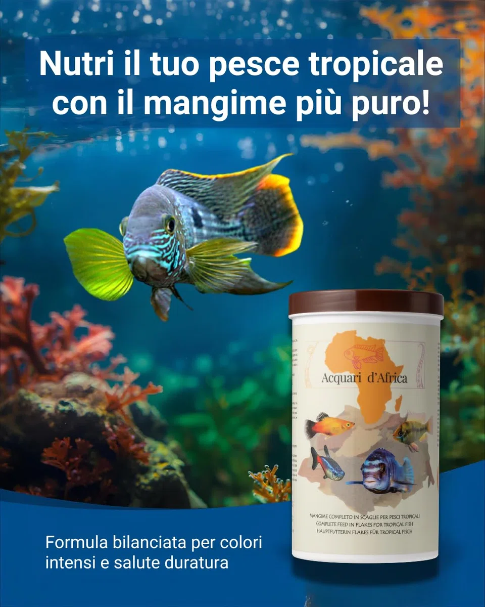 Acquari d'Africa Mangime Pesci Tropicali in Scaglie 1200ml | Formula Pura con Spirulina, Aloe Vera e Vitamine A-C-E | Per Colori Intensi e Crescita Sana | 100% Made in Italy (1000ml + 200ml Bouns)