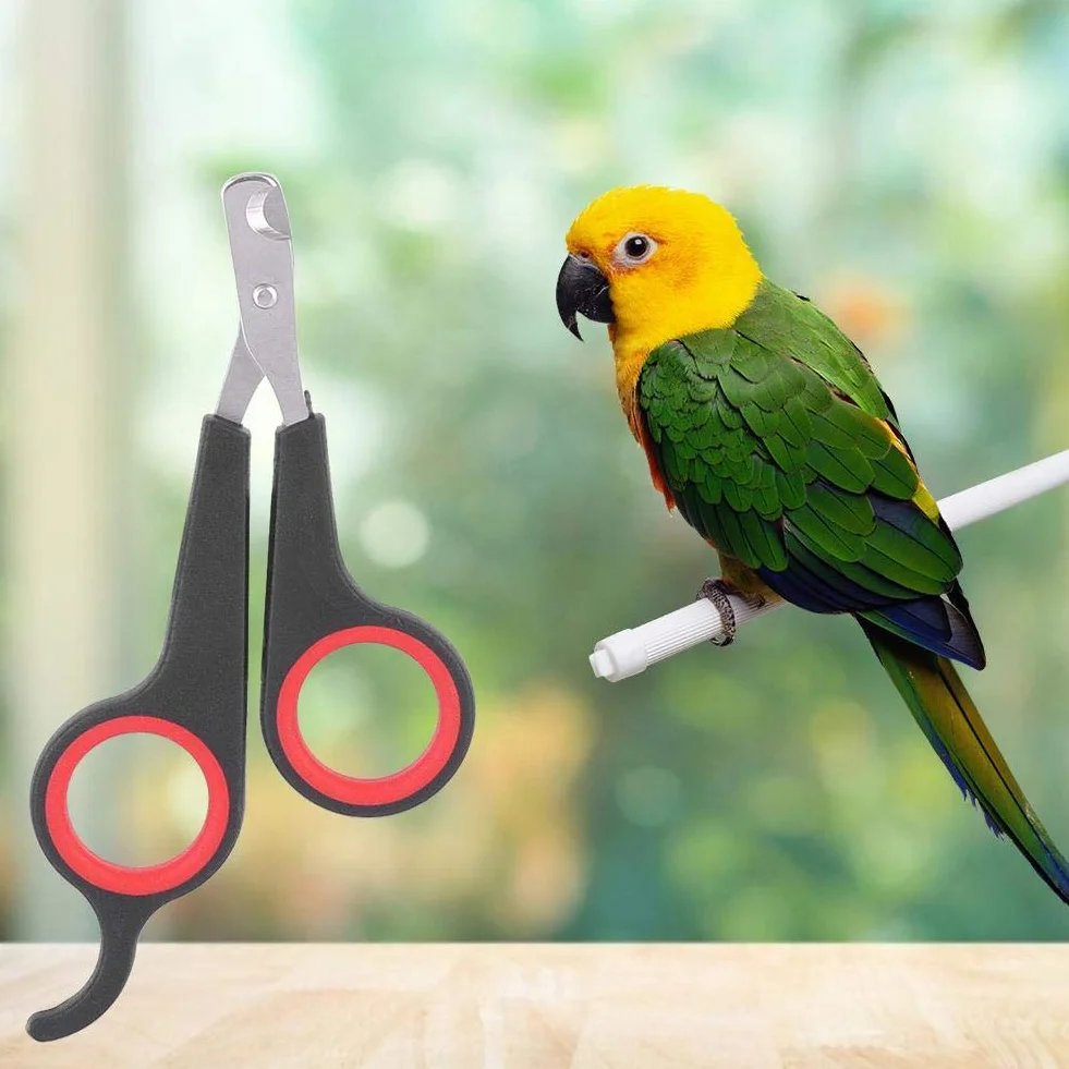 GOTOTOP Tagliaunghie per animali di piccola taglia, tagliaunghie e tagliaunghie strumento per toelettatura per uccelli, pappagalli, gattini, conigli