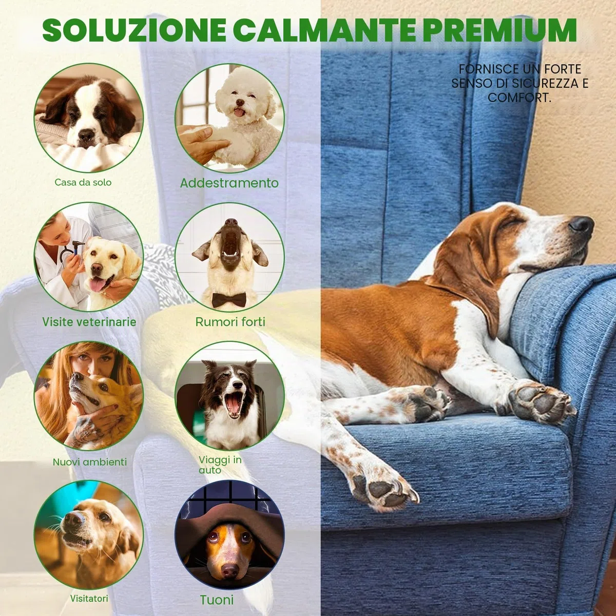 Ricarica Del Diffusore Del Feromone Calmante | Ricariche Di Rimedio Per Animali Domestici 60Giorni,Aiutare A Ridurre L'Ansia Lo Stress Nei gatto Domestici,Sollievo All'Ansia Rimani Più Calmo (Cani)