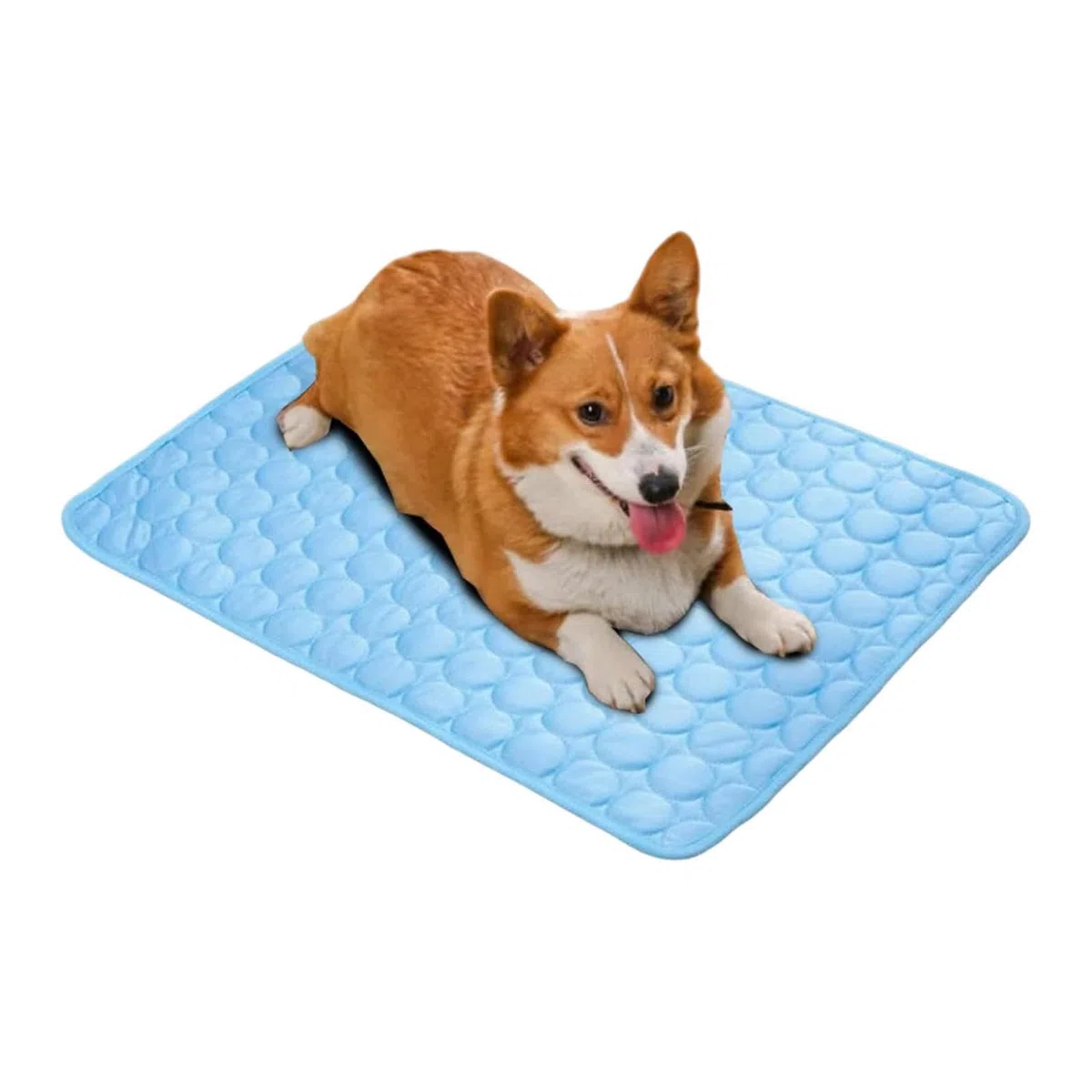 Generico Tappetino Rinfrescante Per Cani | Cuscini Freddi In Tessuto Fresco Per Cani | Coperta Estiva Traspirante Per Pavimento Divano Cuccia Giardino Spiaggia Auto
