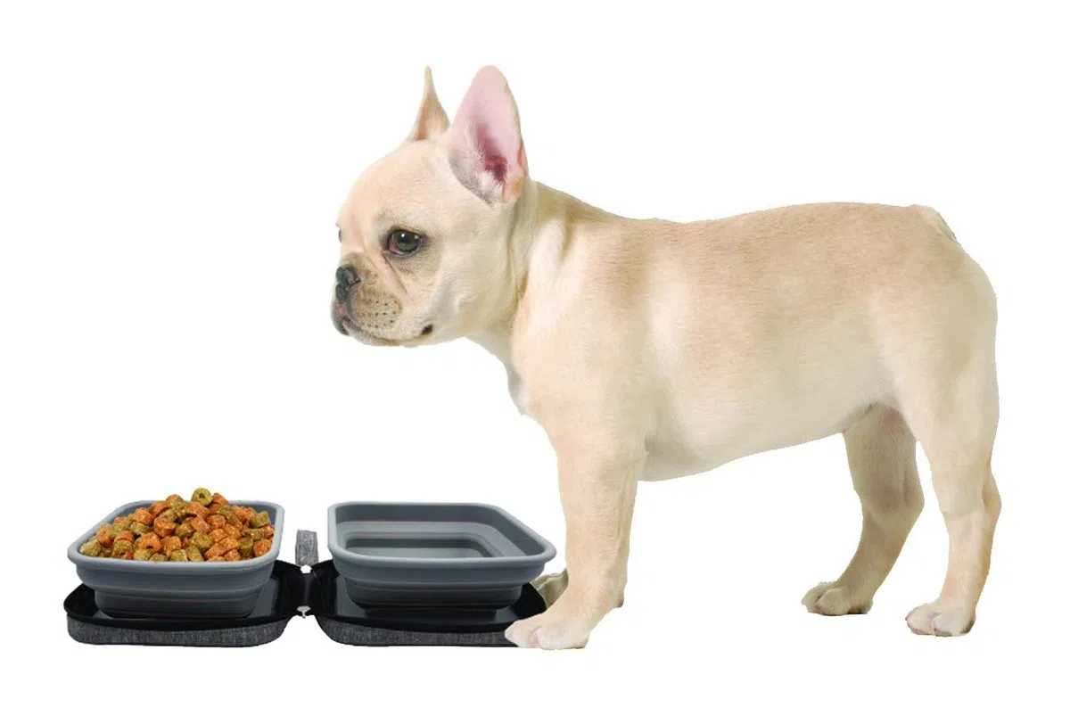 Portabowl - Eco ciotole per cani pieghevoli 2 in 1 - Ciotole da viaggio per cani di alta qualità con custodia da viaggio - Leggere e compatte - Realizzate al 100% in silicone alimentare senza BPA