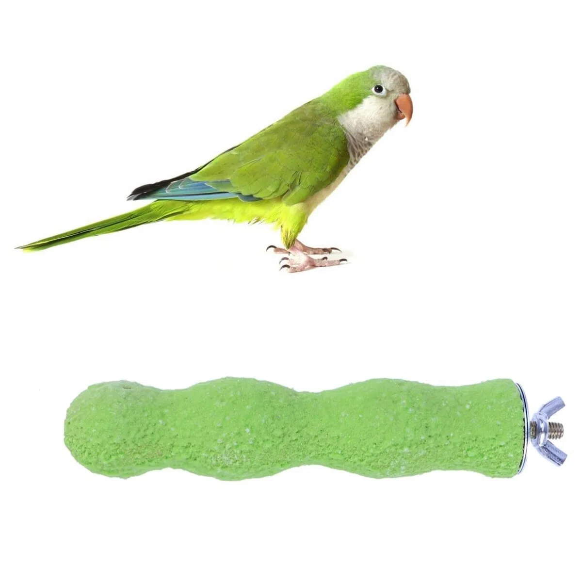 ibasenice Posatoio Limaunghie Per Pappagalli Medi Trespolo per per Trespolo per 14 Cm Supporto per Parrocchetto Naturale Posatoi di per per Posatoio Limaunghie E Becco Per Pappagalli Parrocchetto