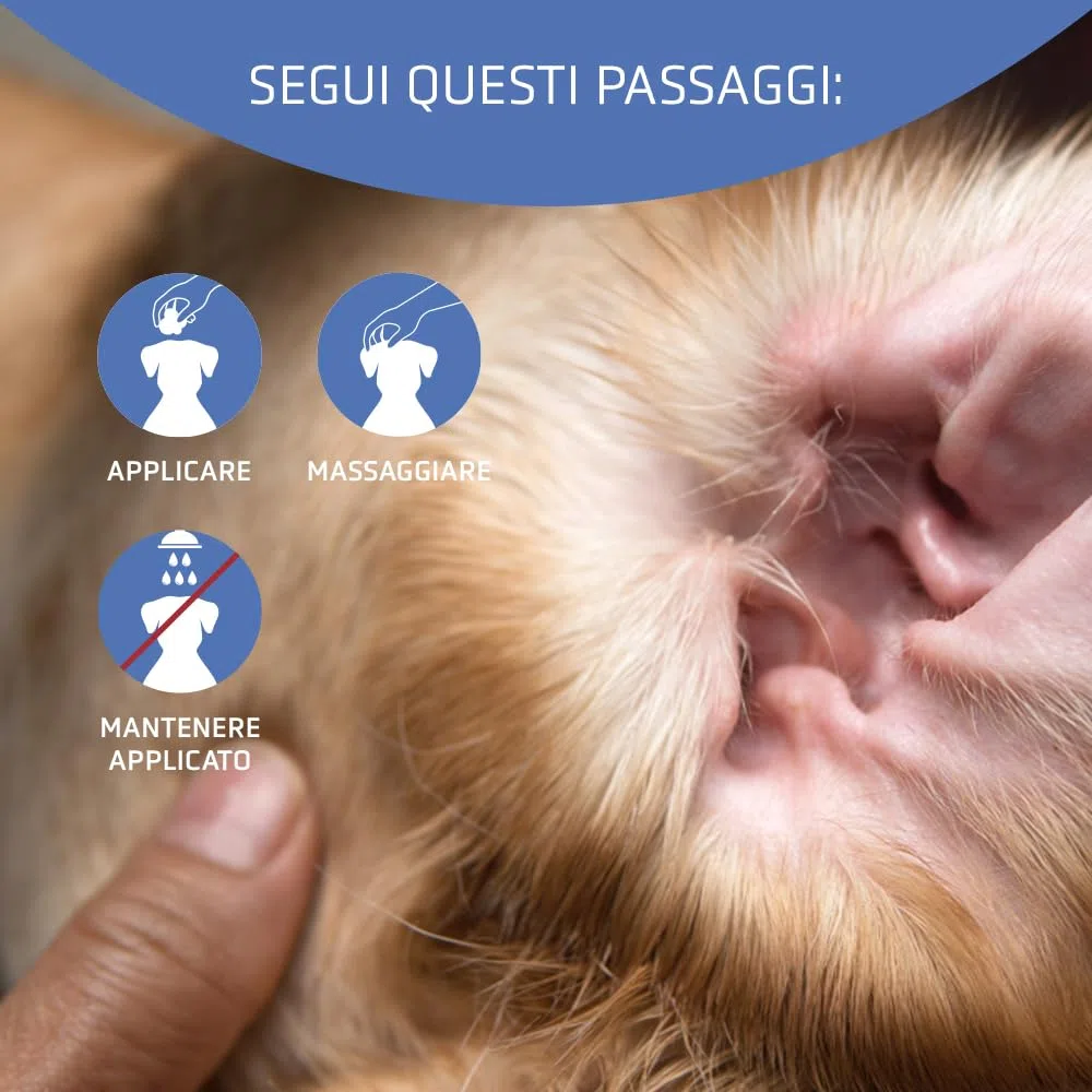 Artero Aurigel Pulitore Orecchie Cani e Gatti