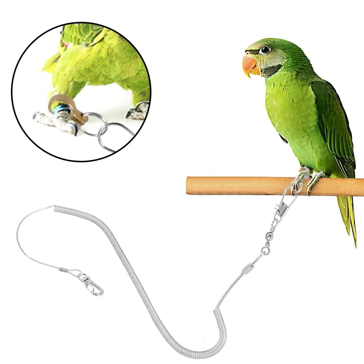 Corda Volante per Pappagallo, 6M Anti-Morso Cavigliera per Uccelli Domestici Imbracatura Regolabile per Pappagallo Fede per Pappagalli, Piccoli Animali Domestici(6,5MM+6M)