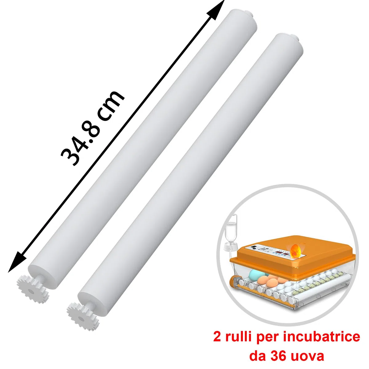 Rulli per 36 incubatori