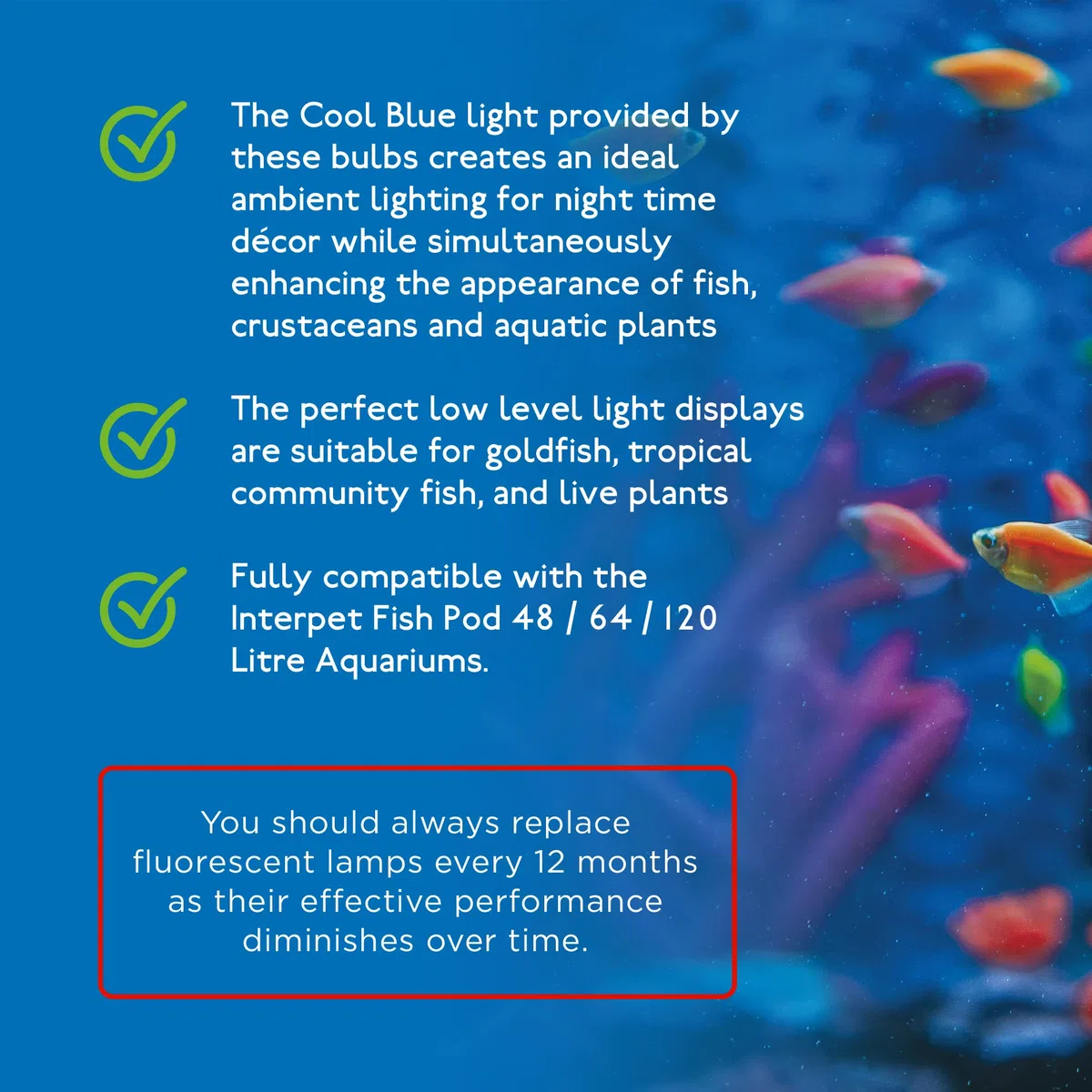 Lampadina di ricambio Cool Blue Moon da 15W per acquario Fish Pod 48/64 e 120 litri - Base a vite standard E27 - Ideale per effetto di illuminazione rilassante dopo il tramonto