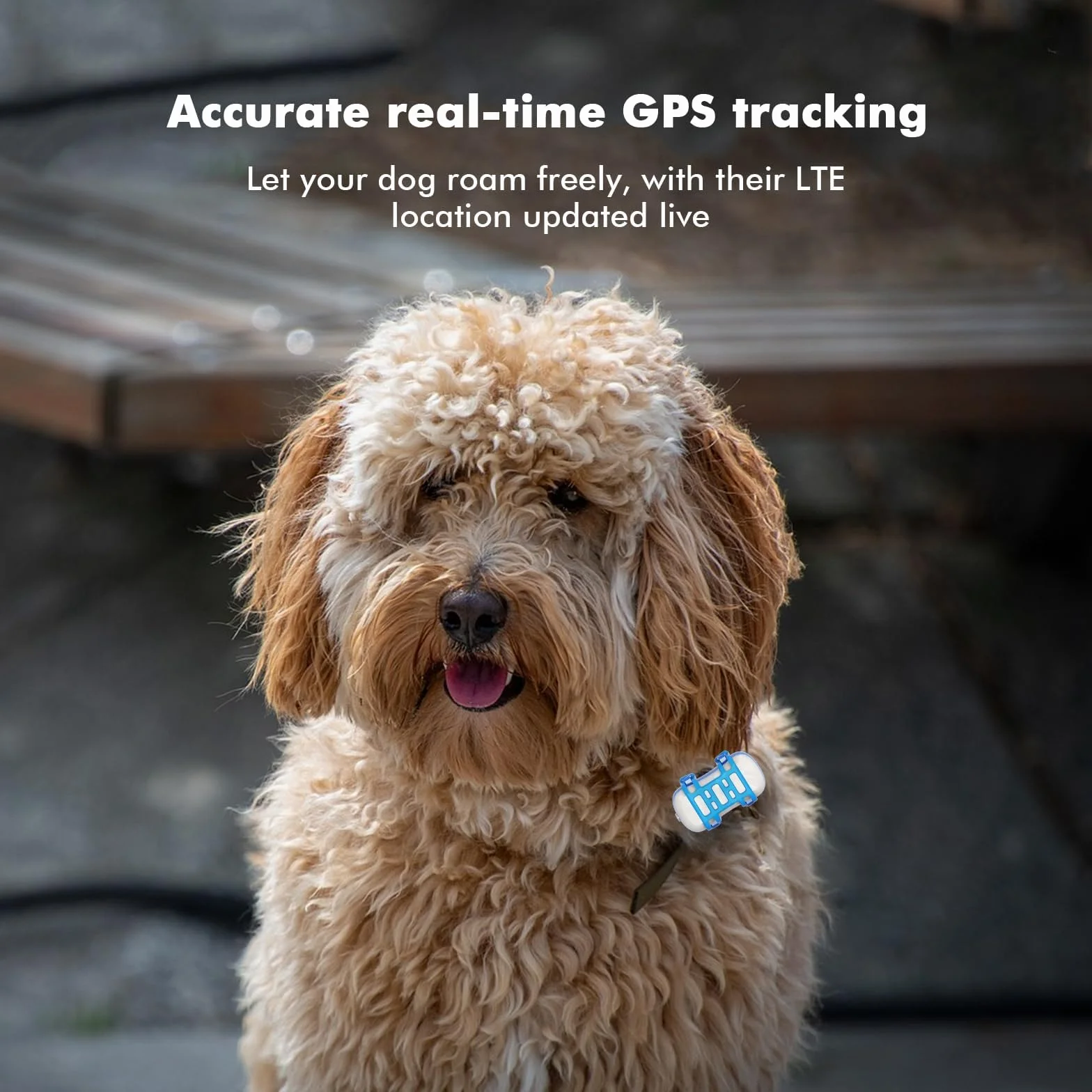 GPS Pet Tracker GPS Dog Tracker 4G Live Satellite Tracking, avvisi intelligenti multipli, monitor di attività completamente impermeabile per cani e gatti, portata illimitata, richiamo vocale remoto