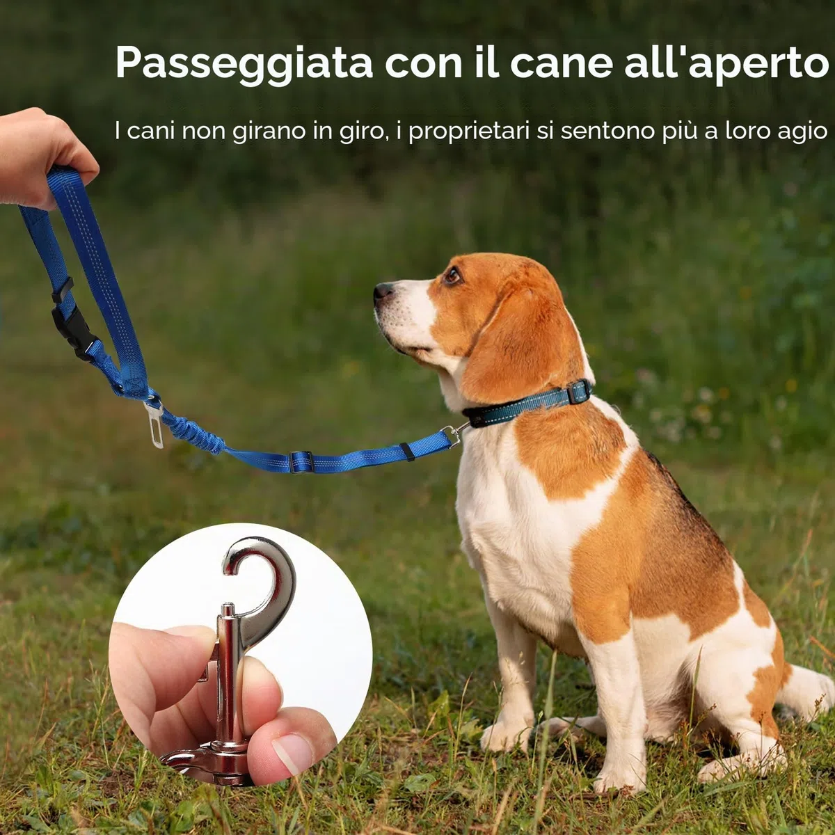 2 Pezzi Regolabile Cintura Sicurezza Cani Auto, Animale Ammortizzante Elastico Antiurto Cintura di Sicurezza Auto Adatto per Automobili(Nero+Rosa)