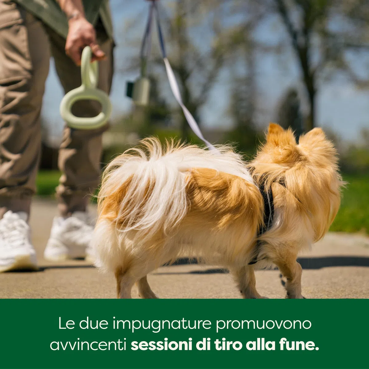 Earth Rated Tug of War - Giocattolo interattivo per cani adulti e cuccioli, impugnatura ergonomica, gomma naturale, piccolo, verde