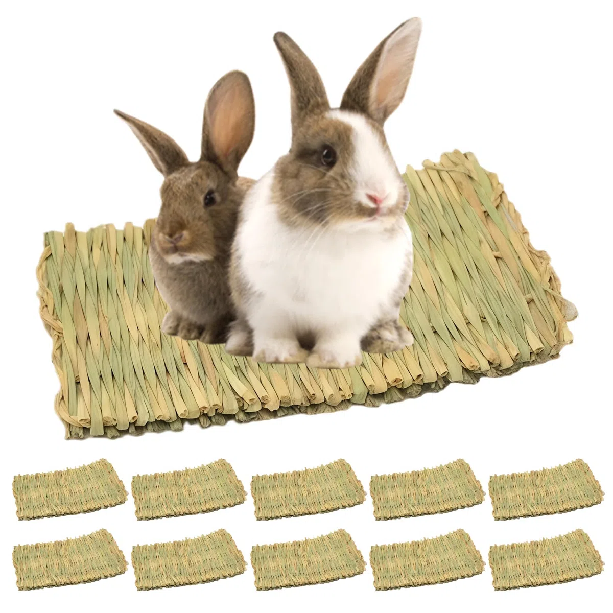 BAIFULAI 10 tappetini per erba di piccolo animale: tappeto erboso naturale, sicuro e commestibile, tessuto naturale, per criceti, conigli, pappagalli, porcellini d'India e furetti
