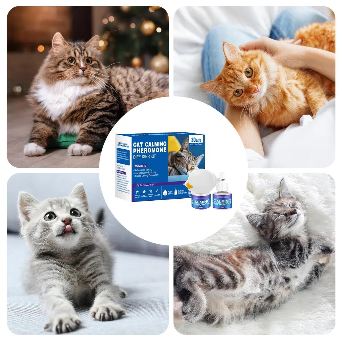 Generico Diffusore Calmante per Gatti, Ricarica del Diffusore di Feromone Gatto,ntistress per Gatti, Case Multi, Controllo E Spruzzatura