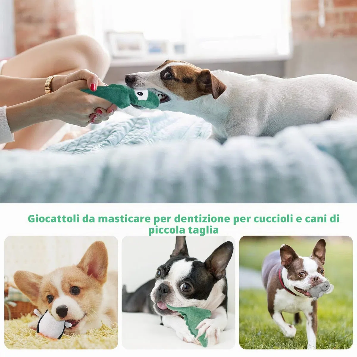 LEGEND SANDY Giocattolo per cuccioli cigolante per cani di piccola taglia e taglia medio, giocattolo per cuccioli riempito alla rinfusa con 12 set di giocattoli per cani da compagnia di peluche.
