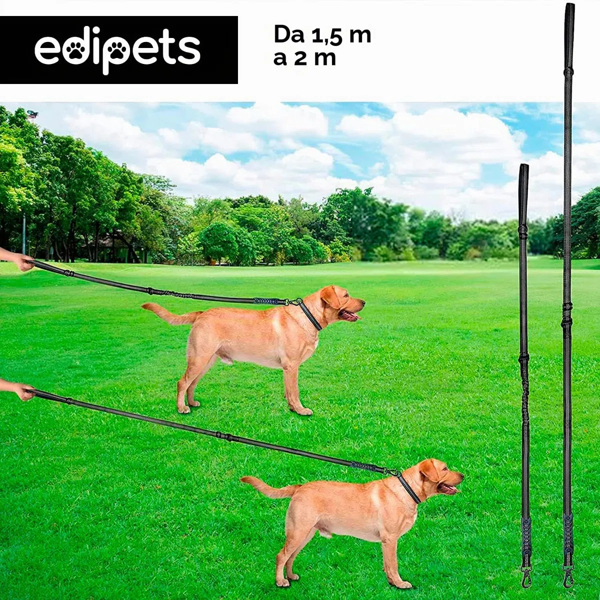 Edipets, Cintura Sicurezza Cani Auto, Guinzaglio Anti Tiro per Cane, 1M / 1.4M, Riflettente, Maniglia Imbottita, per Cani di Taglia piccola/media/grande (Nero)