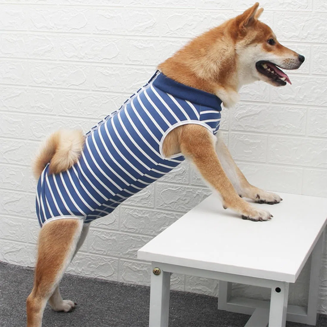 Body Post Operatorio Cane, Tuta Recupero Cane, Dimensioni Femmina, Maschio