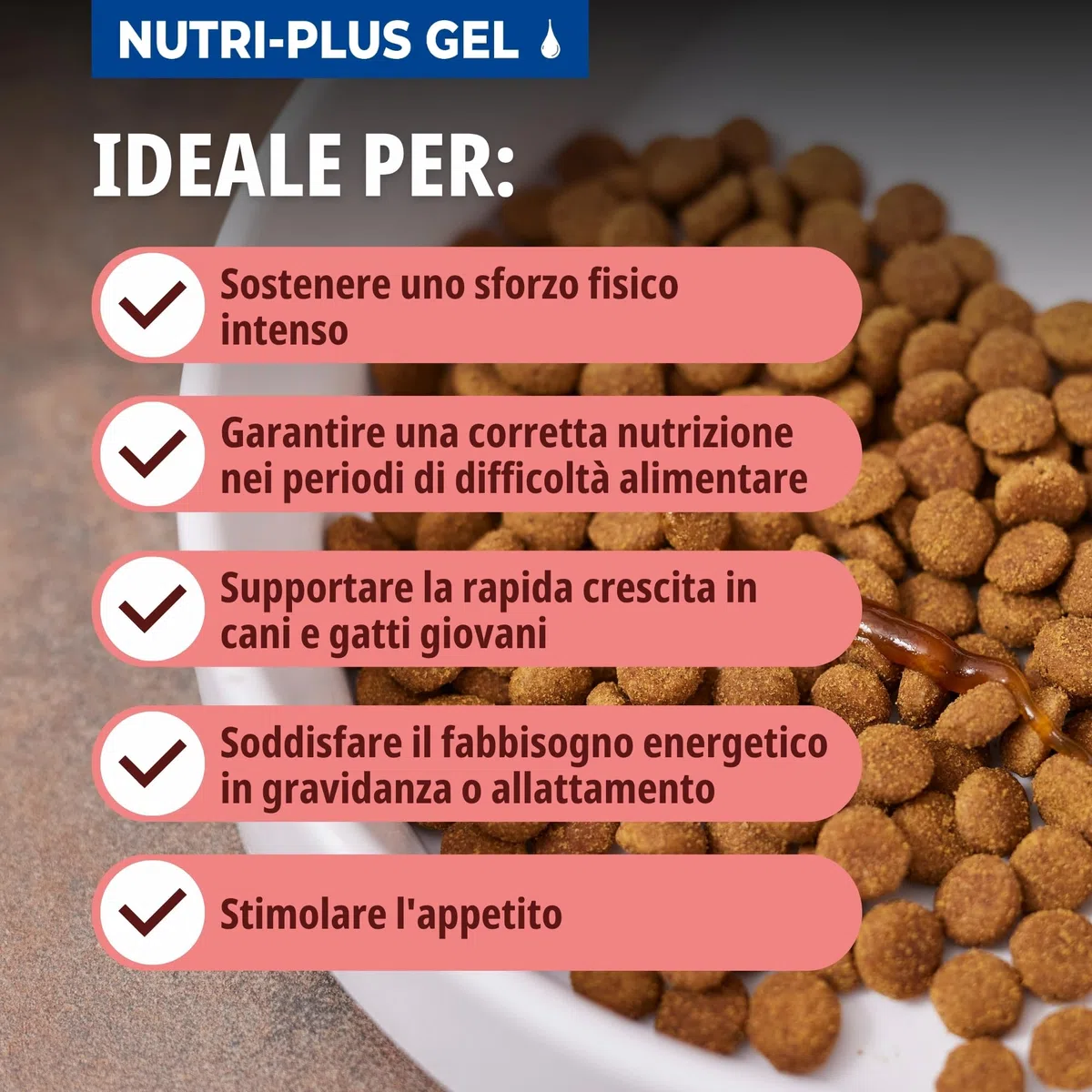 Virbac Nutri-Plus Gel | 120 g | Alimento complementare dietetico per cani e gatti | Fonte di energia concentrata