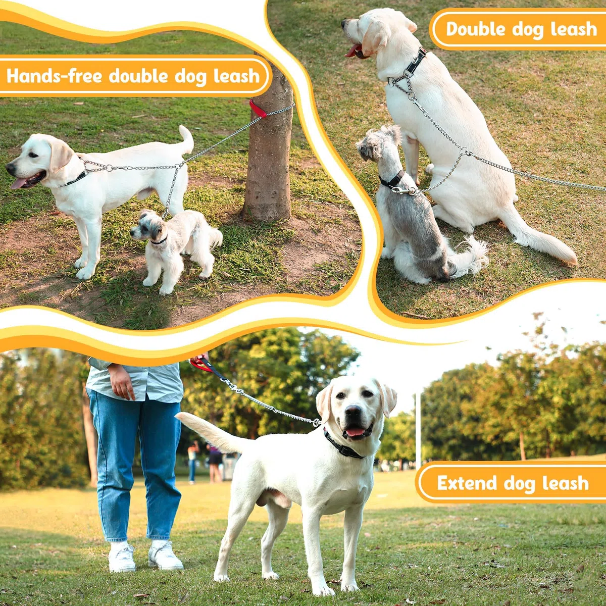 HAPPY HACHI Guinzaglio Doppio per 2 Cani Resistente Acciaio Catena Nessun Groviglio per Due Cane Grandi Medio Passeggiata Formazione(M 3.5mm*60cm)