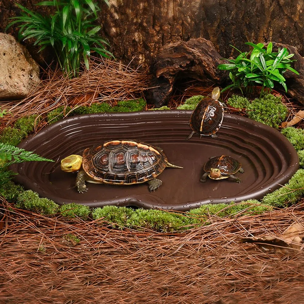 Vasca per rettili extra large, ciotola per acqua con rampa, decorazione per acquario per gechi, serpenti, tartarughe, draghi barbuti, lucertole (nero)