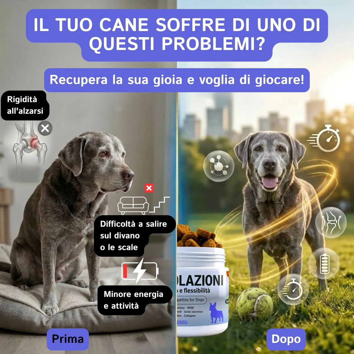 Condroprotettore Per Cani Prodotto In Europa 200 Soft Chews Integratore 100% Naturale Curcuma Acido Ialuronico Cozza Verde MSM Glucosamina Condroitina Salmone Collagene | Supporto Articolazioni Cane