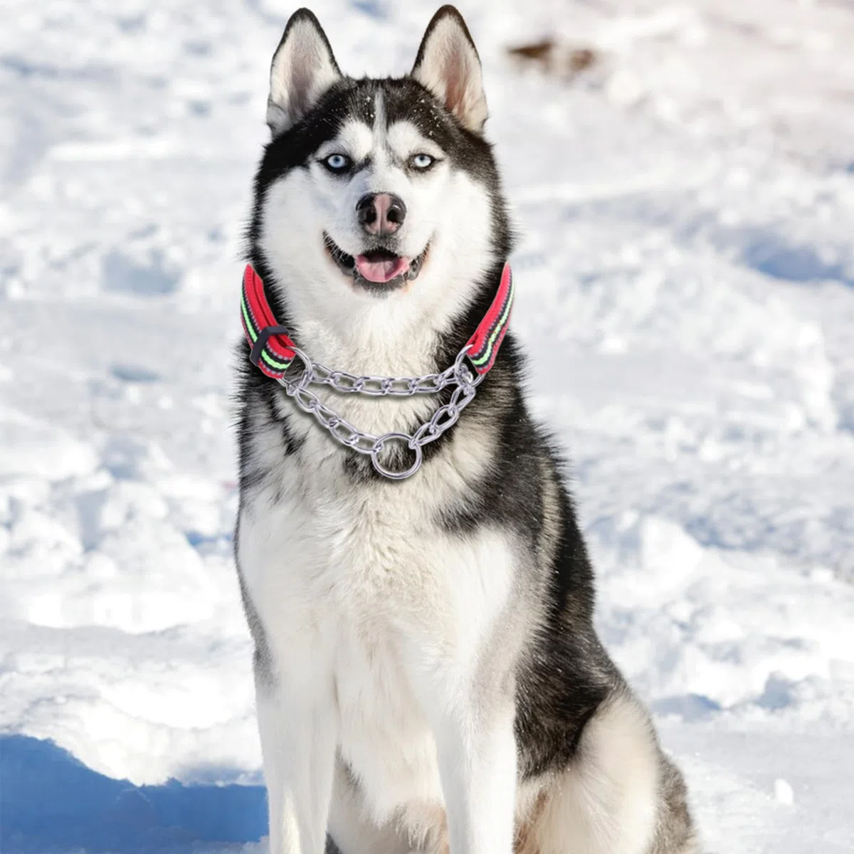 Collare per Cani,Collare Semistrozzo Cane,Collare Martingala Riflettente,Regolabile Collari,Cani Cane Addestramento Collari,Collare Tattico per Cani,per l'addestramento e le passeggiate sicure (L)