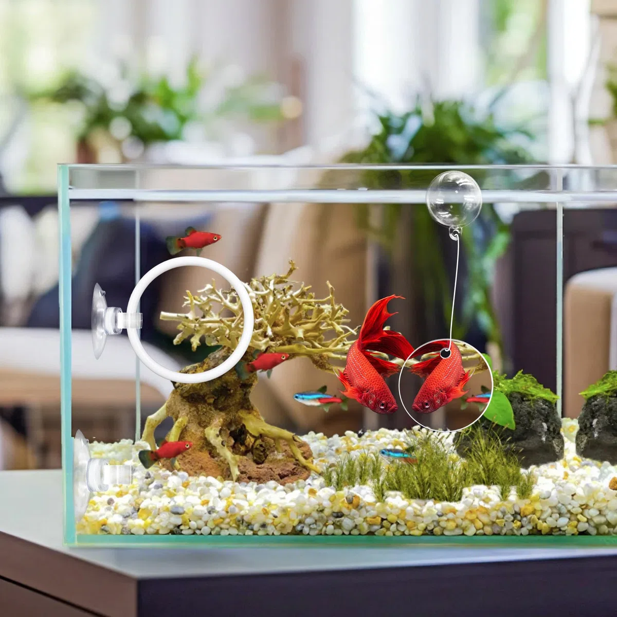 Betta Toys per acquario con specchio Betta, 4 anelli per l'alimentazione dei pesci per piccoli acquari, giocattoli per l'addestramento dei pesci, l'esercizio fisico, l'arricchimento delle tartarughe