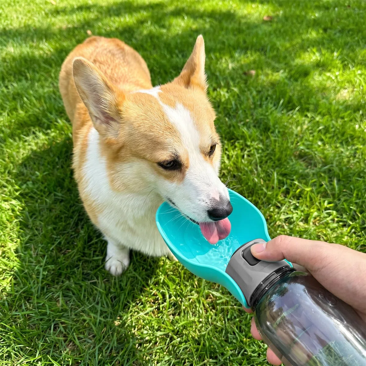 800 ml Borraccia per Cani Portatile–Senza BPA, Pratica Bottiglia da Viaggio per Cani–Ottima per Passeggiate, Escursioni, Campeggio, Alpinismo e Viaggi