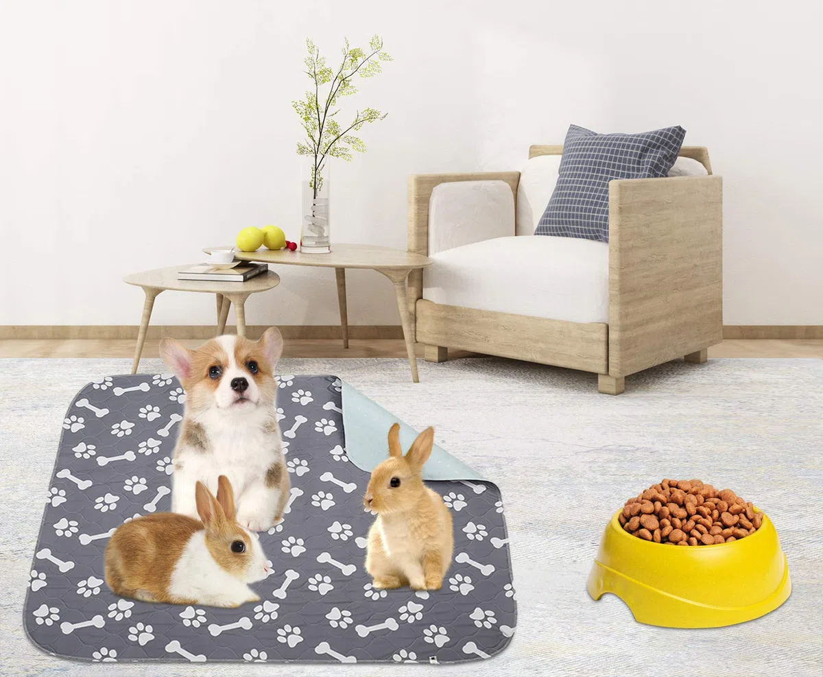 Geyecete - Tappetini Igienici per Cani, 2 Pezzi traversine lavabili per cani, riutilizzabili Tappetini assorbente per addestramento del Cucciolo e gattino/Conigli-L
