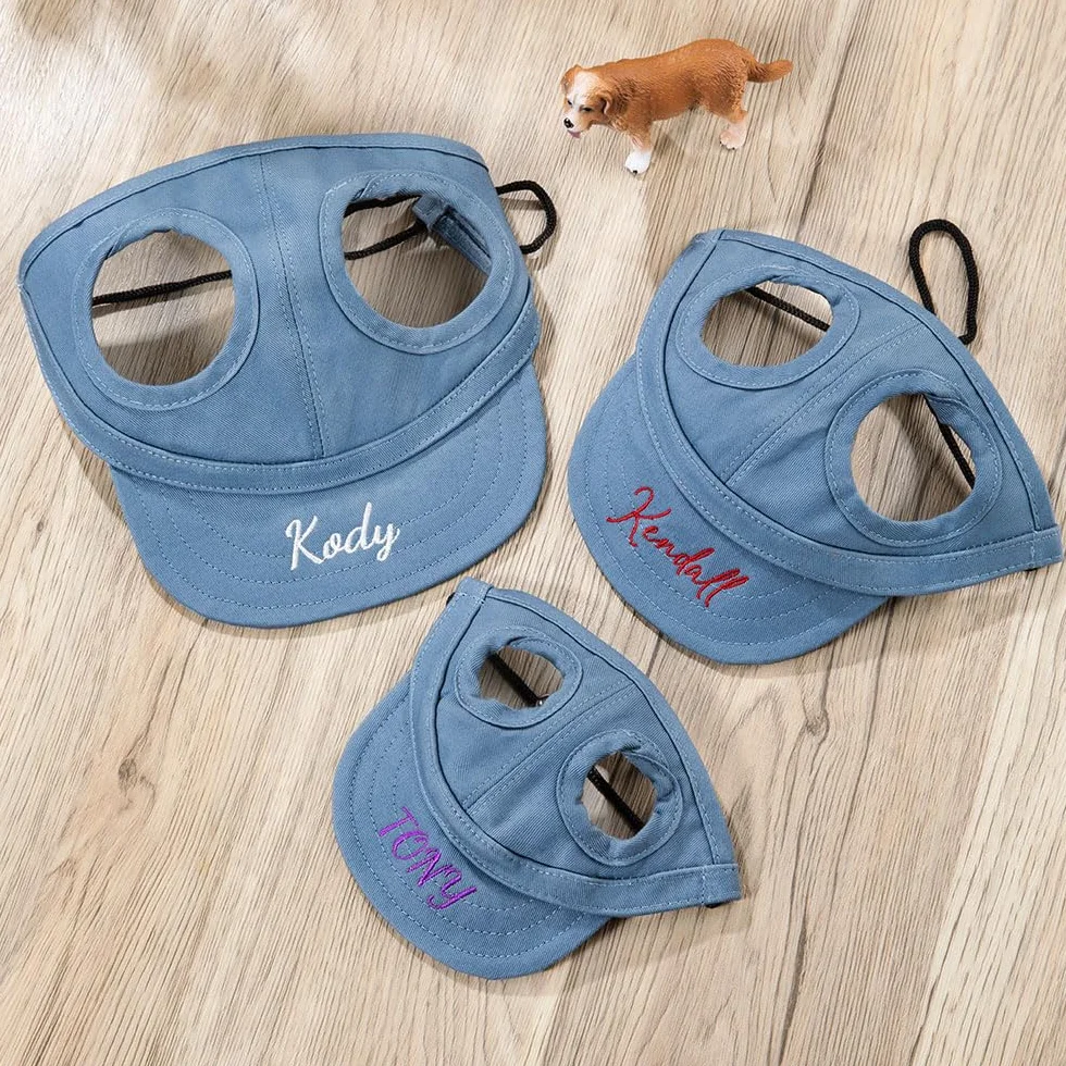 Cappello personalizzato con orecchie ricamate per cani – Solare UV, baseball multicolore traspirante, berretto piccolo e medio