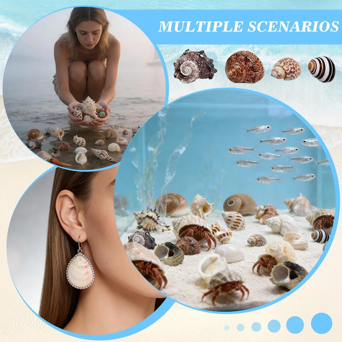 21 Pezzi Conchiglie Decorazioni Acquario Conchiglie Decorative per Acquari e Vasi Feste a Tema Naturali Spiaggia Decorazioni Matrimoni Forniture Fai da te Feste Artigianato Pittura