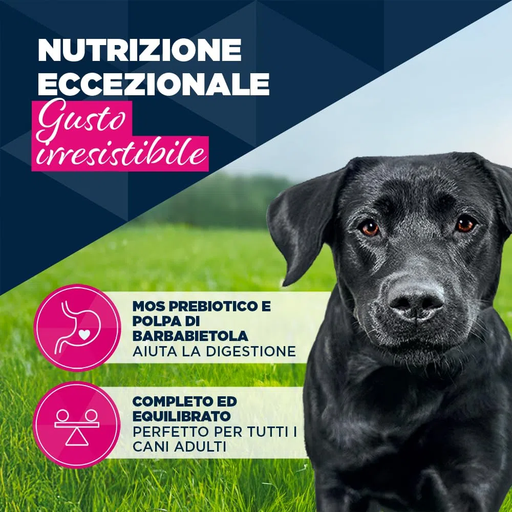 EUKANUBA Cibo umido per cani con agnello e patate, Alimento umido premium senza cereali per cani adulti, 6 barattoli da 400 g