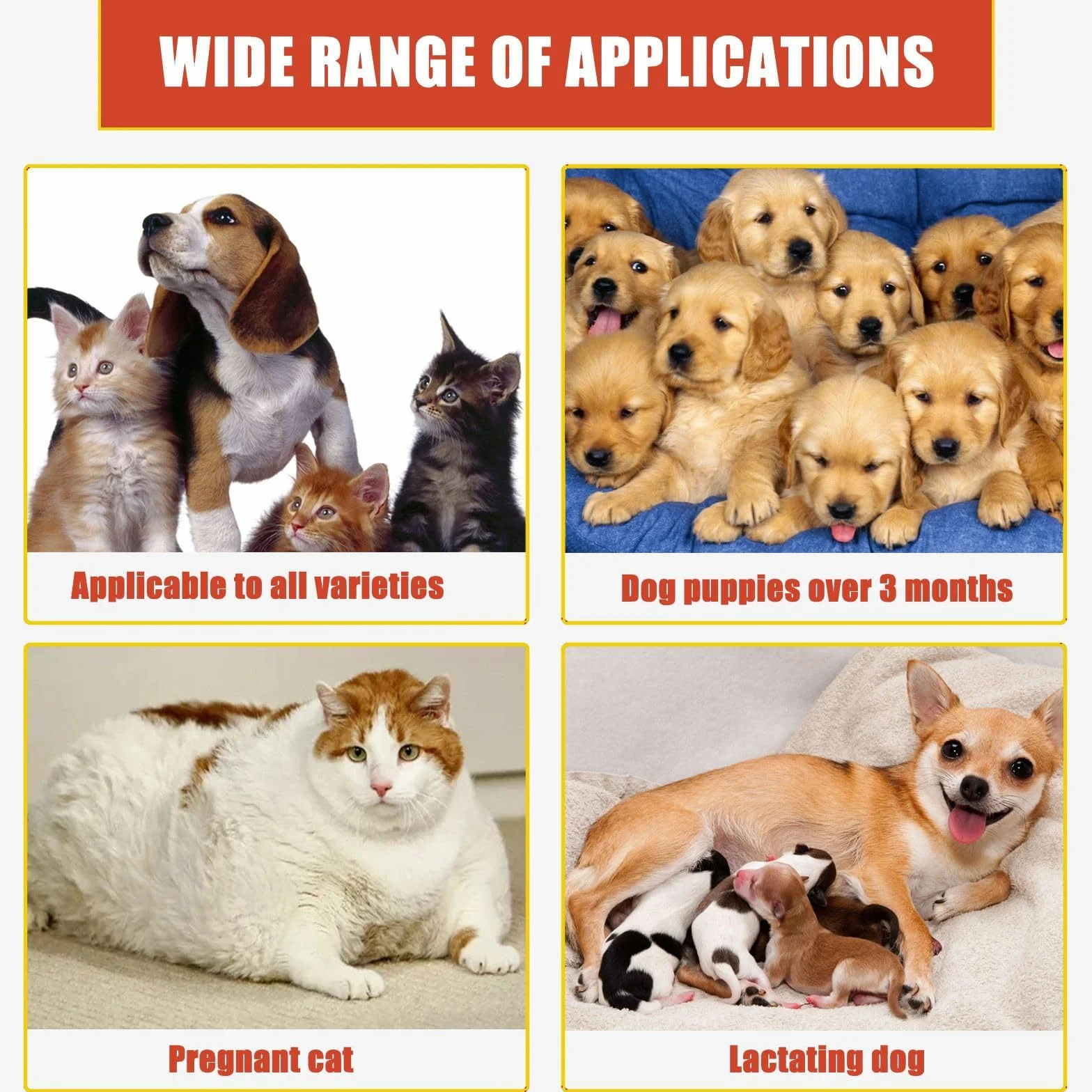 Polvere Emostatica per Cani,2pcs Polvere Stitica Sicura per Cani e Gatti,Polvere Emostatica Sicura per Cani e Blood,Cura Emostatica per Animali Domestic